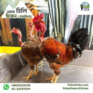 Hilly chicken ( golachila )- প্রতি কেজি।
