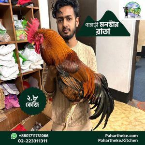 Hilly chicken ( Monstar ) 2.8 kg plus.