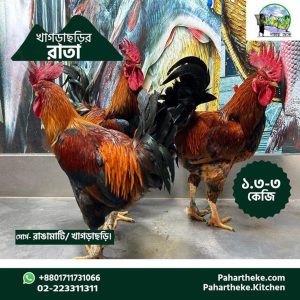 Hilly chiken ( king size ) 1.8-2.5 kg - প্রতি কেজি।